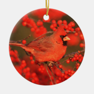 Red Northern Cardinal Male, IL Ceramic Tree Decoration