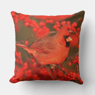 Red Northern Cardinal Male, IL Cushion