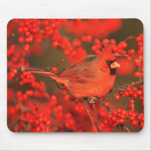 Red Northern Cardinal Male, IL Mouse Mat