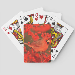 Red Northern Cardinal Male, IL Playing Cards