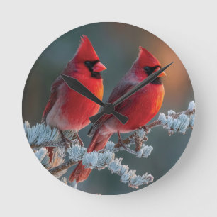 Red Northern Cardinals Perched on a Frosted Branch Round Clock