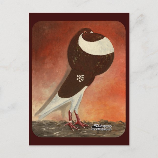 Red Norwich Cropper Pigeon Postcard (Front)