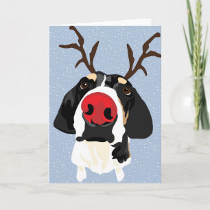 Red nose Coonhound Holiday Card
