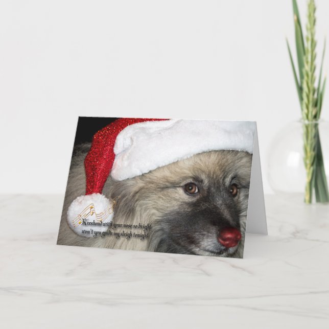 Red Nose Keeshond Christmas card (Front)