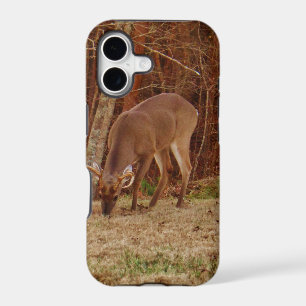 Red Oak Camouflage Stag Buck Deer Feeding