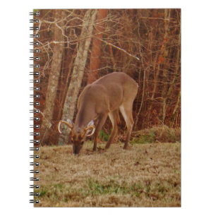 Red Oak Camouflage Stag Buck Deer Feeding Notebook