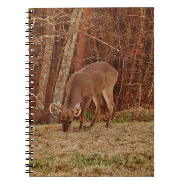Red Oak Camouflage Stag Buck Deer Feeding Notebook (Front)