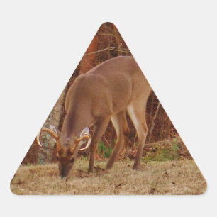 Red Oak Camouflage Stag Buck Deer Feeding Triangle Sticker