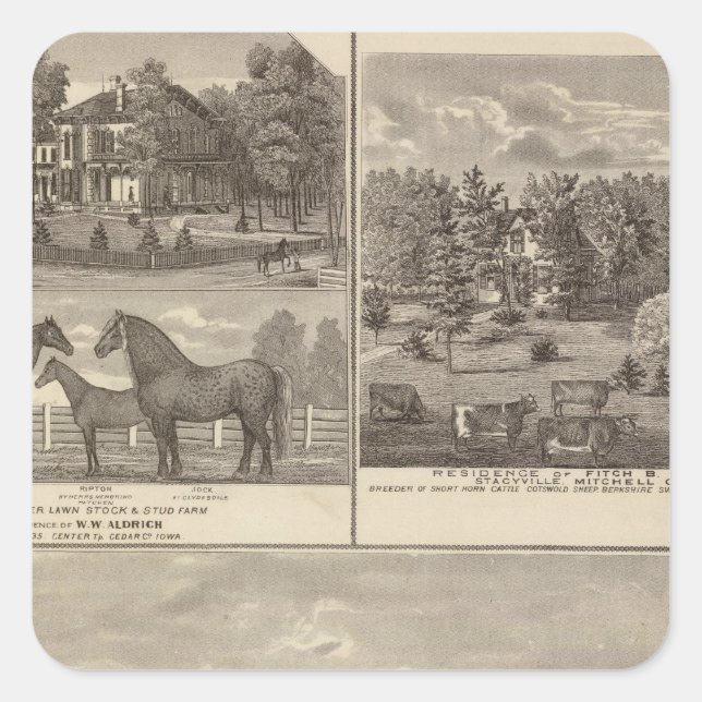 Red Oak farm & residence, Centre Tp Square Sticker (Front)