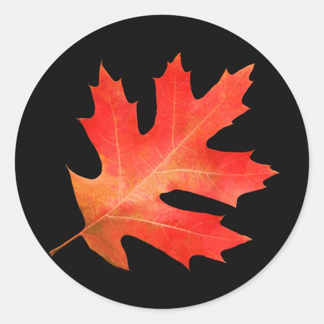 Red Oak Leaf Sticker (Front)