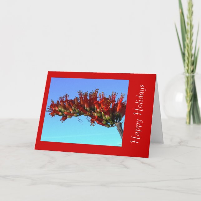 Red Ocotillo Blooms Holiday Greeting Card (Front)