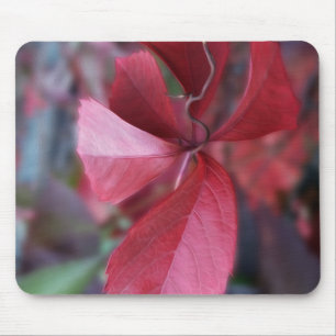Red of autumn mouse mat