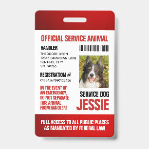 Red Official Service Animal Custom Photo ID Badge