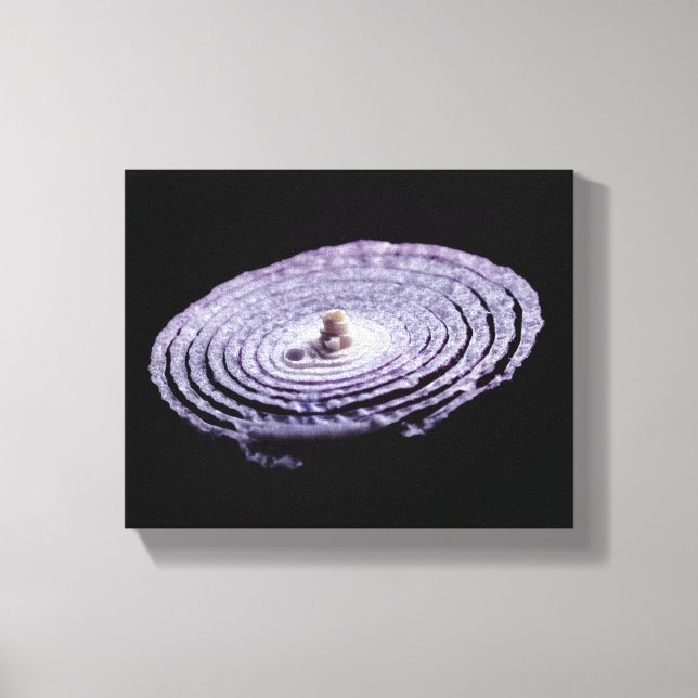Red Onion Portrait Canvas Print (Front)
