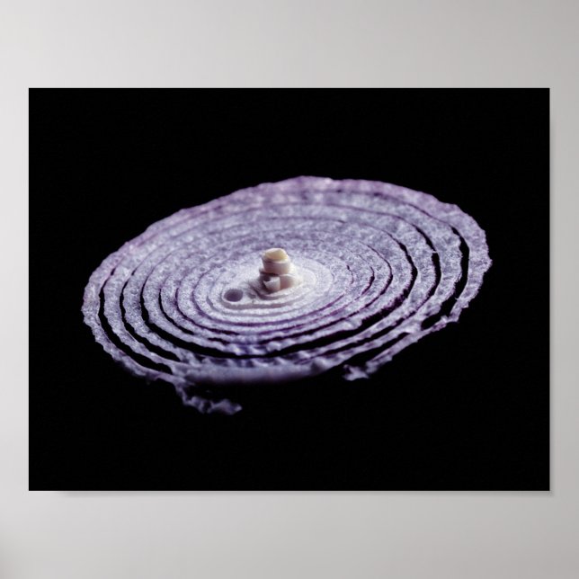 Red Onion Portrait Poster (Front)