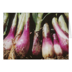 Red Onions at Farmers Vegetable Market Note Card