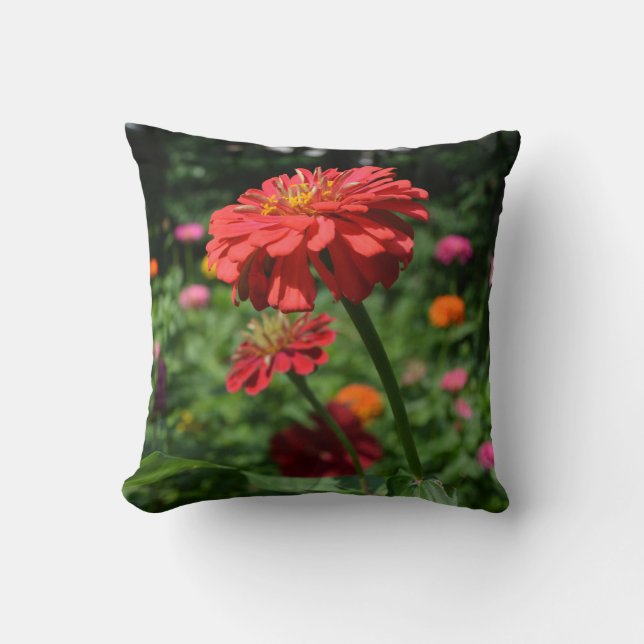 red orange daisy floral, red flower garden cushion (Front)
