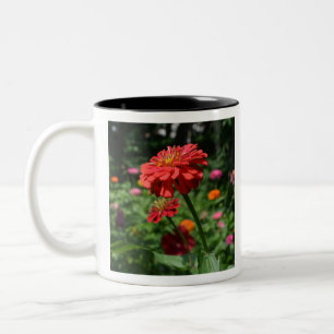 red orange daisy floral, red flower garden Two-Tone coffee mug