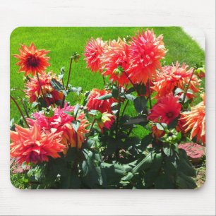 Red Orange Dhalia Mouse Pad