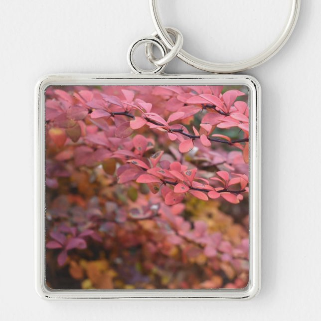 Red Orange Fall Foliage Autumn Leaves Nature Photo Key Ring (Front)