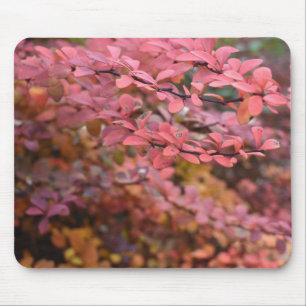 Red Orange Fall Foliage Autumn Leaves Nature Photo Mouse Mat