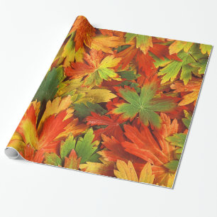 Red Orange Gold & Green Fall Pinwheel Leaves Wrapping Paper