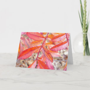 Red & orange leaves card - Walden Pond shore