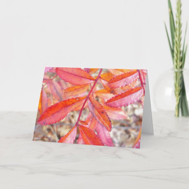 Red & orange leaves card - Walden Pond shore (Front)