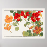 Red & Orange Nasturtium Flowers by Tanigami Konan