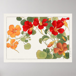 Red & Orange Nasturtium Flowers by Tanigami Konan Poster