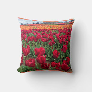 Red & Orange Tulip Field, Oregon Cushion