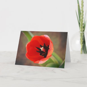 Red Orange Tulip Flower Art Note Card