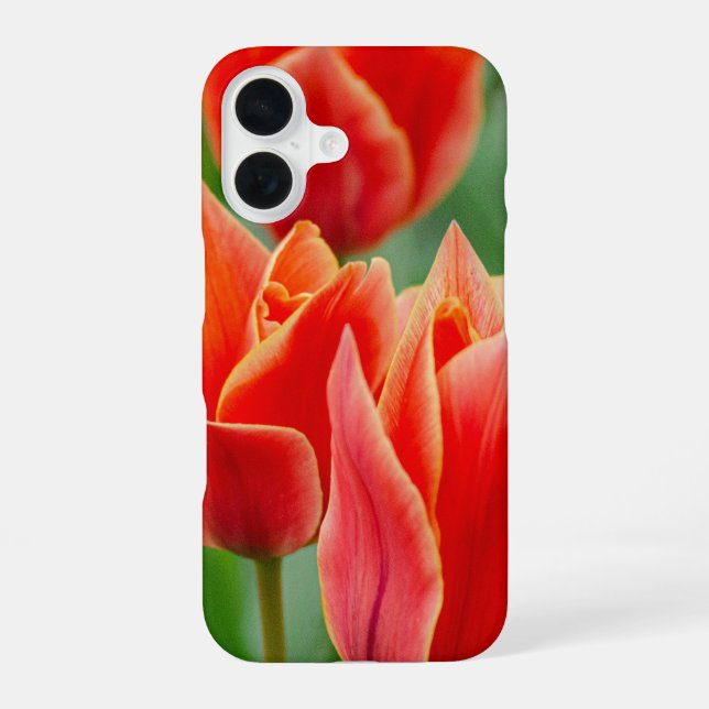 Red Orange Tulips iPhone 16 Case  (Back)