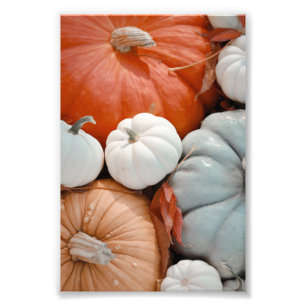 Red Orange White Blue Pumpkins Photo Print