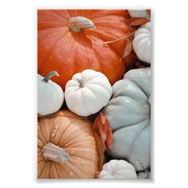 Red Orange White Blue Pumpkins Photo Print (Front)