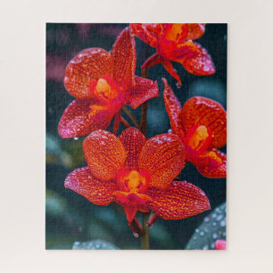 Red Orchid flower Jigsaw Puzzle