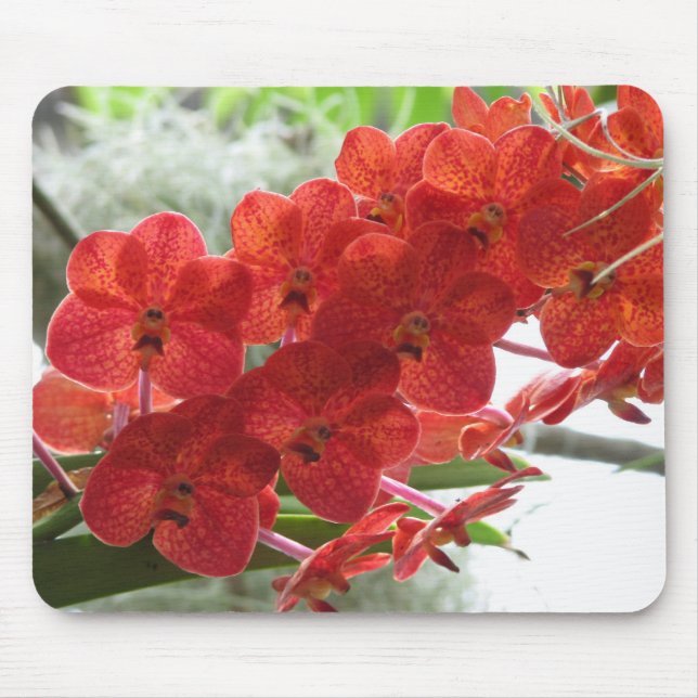 RED ORCHID MOUSE MAT (Front)