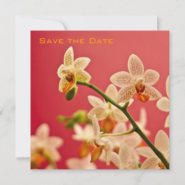 Red Orchid • Save the Date Announcement (Front)