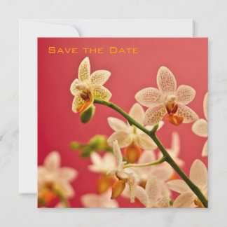 Red Orchid • Save the Date Announcement