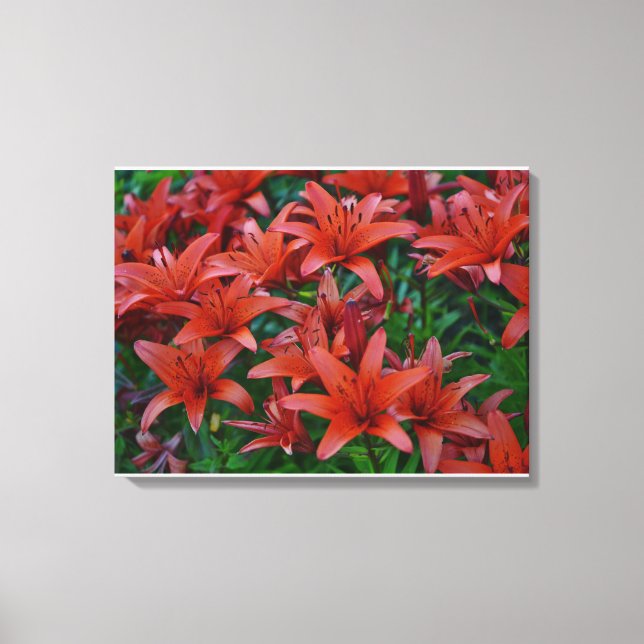 Red Orchids Canvas Print (Front)