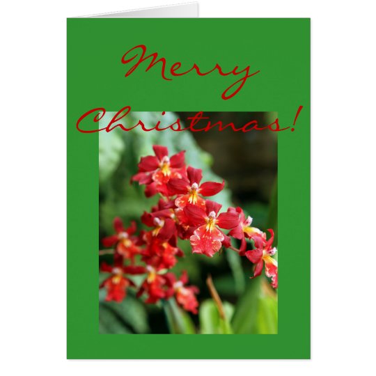 Red Orchids Card