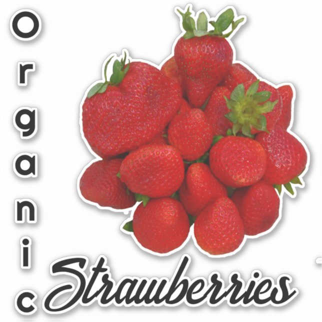 Red Organic Strawberries Photographic  (Front)