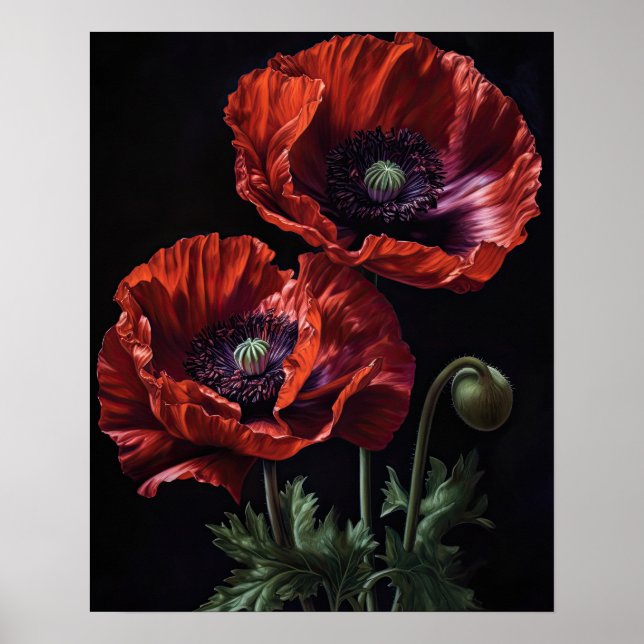 Red Oriental Poppy Flowers Art Print Poster (Front)