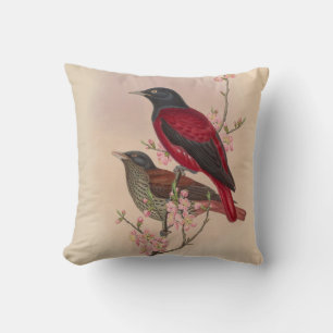Red Oriole by John Gould Cushion