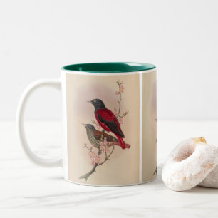 Red Oriole by John Gould Two-Tone Coffee Mug
