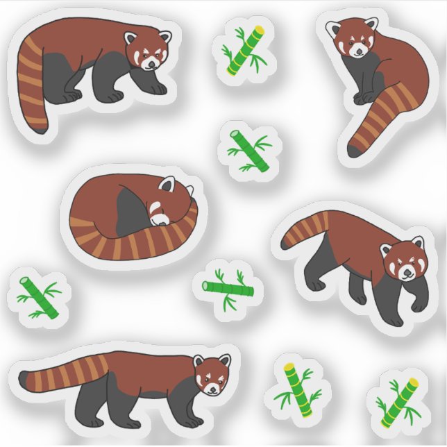 Red Panda (Front)