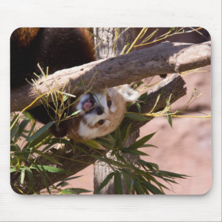 Red Panda2 Mouse Mat