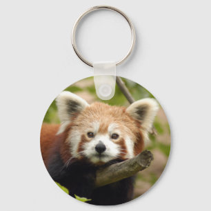 red-panda-007 key ring