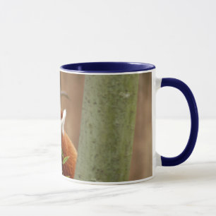 red-panda-026 mug