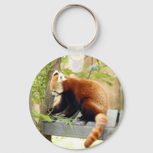 red-panda-028 key ring